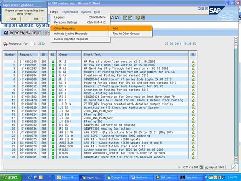 sap import einzeltransport.